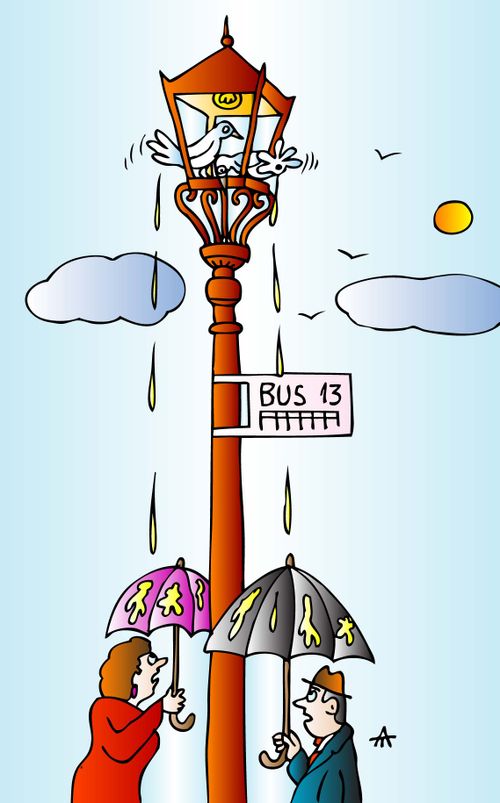 Birds poop on people on bus 13.