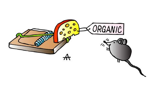 Organic cheese.