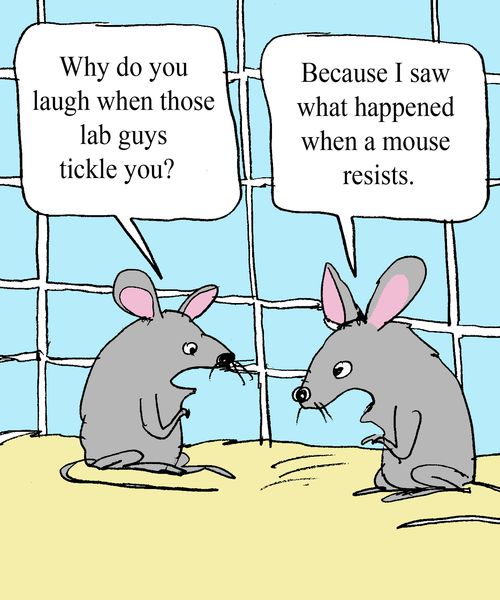 'Why do you laugh when those lab guys tickle you?"