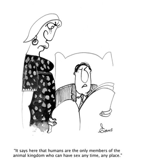 "It says here that humans are the only member of the animal kingdom who can have sex any time, any place."