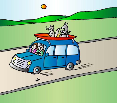 Tourists travel with a dog and cat on the roof.