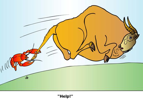 "Help!"
