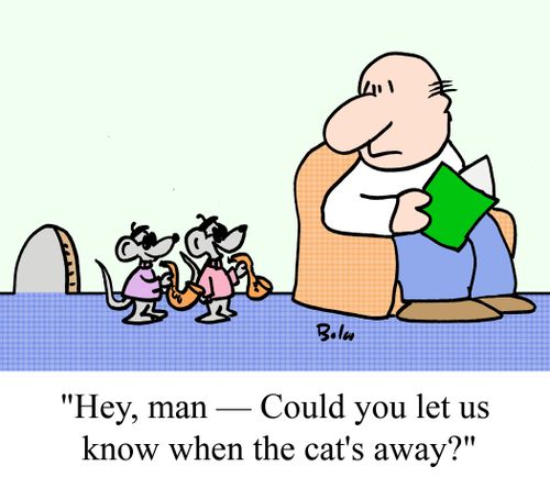 "Hey, man -- Could you let us know when the cat's away?"
