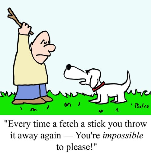 'Every time a fetch a stick you throw it away again - You're impossible to please!'