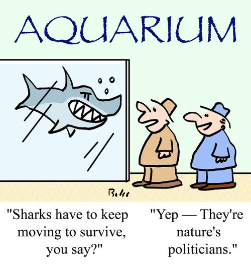 'Sharks have to keep moving to survive, you say?', 'Yep - They're nature's politicians.'
