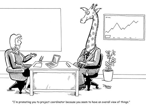 'I'm promoting you to project coordinator because you seem to have an overall view of things.'