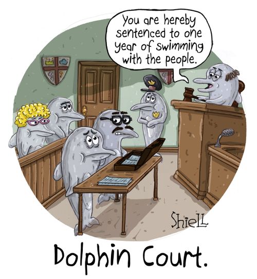 "You are hereby sentenced to one year of swimming with the people."