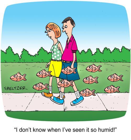 'I don't know when I've seen it so humid.'