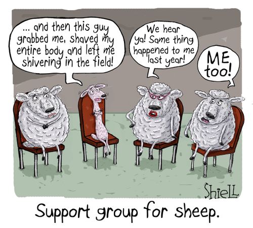 Sheep support group