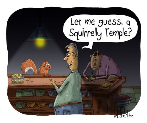 Let me guess, a Squirrelly Temple?