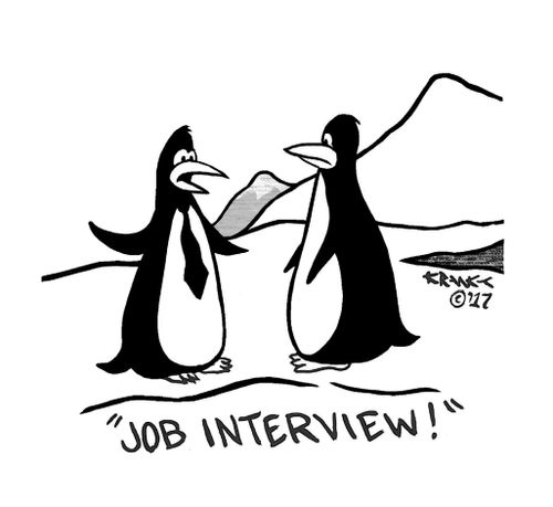 Penguin job interview