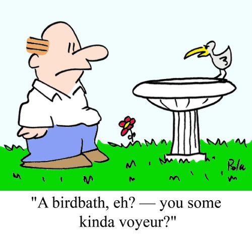 "A birdbath, eh? -- you some kinda voyeur?"