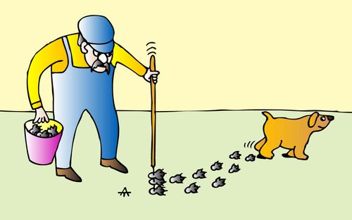 A man collects dog tracks.