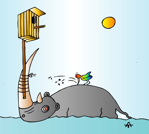 A rhino keeps a birdhouse for its tick bird.