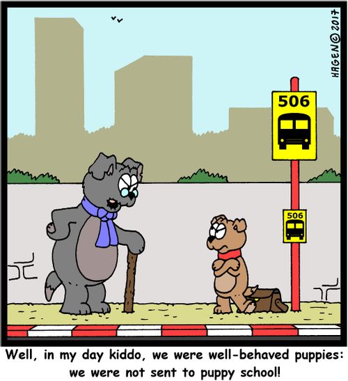 "Well, in my day kiddo, we were well-behaved puppies: we were not sent to puppy school!"