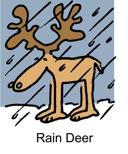 "Rain Deer"