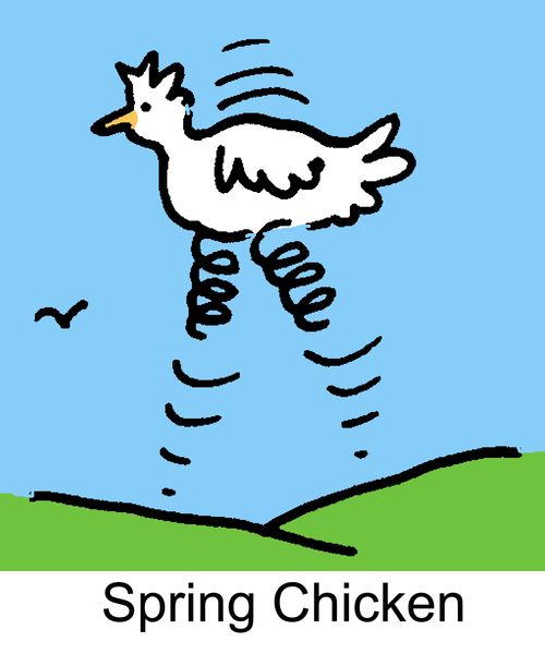 "Spring Chicken"