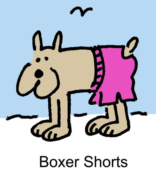 "Boxer Shorts"