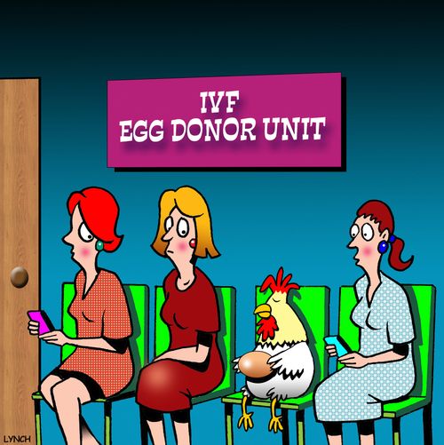 'IVF Egg Donor Unit'