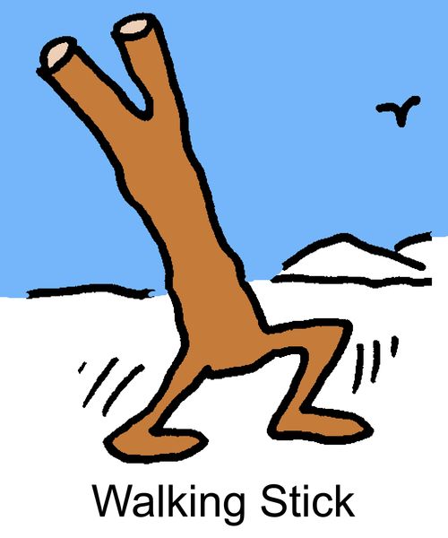 Walking Stick
