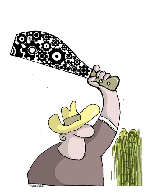 Cane Cutting Technology
