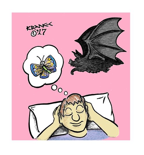 A man dreams of a butterfly and a bat attacks it.