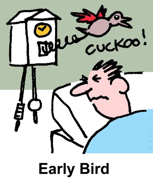 Early Bird