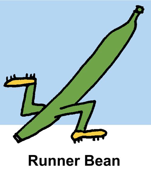Runner Bean