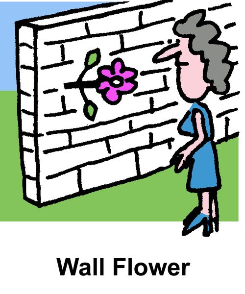 Wall Flower