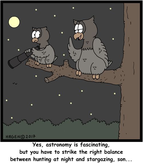 "Yes, astronomy is fascinating, but you have to strike the right balance between hunting at night and stargazing, son..."