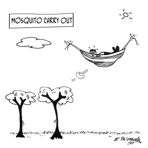 Mosquito Carry Out