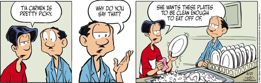 "Tia Carmen is pretty picky. She wants these plates to be clean enough to eat off of."