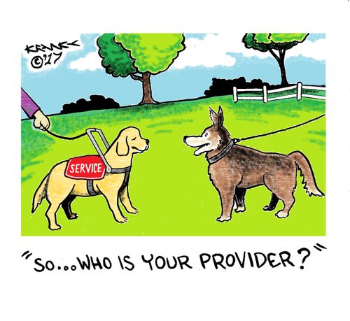 So...who is your provider ?