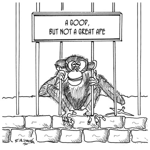 "A Good, But Not a Great Ape"