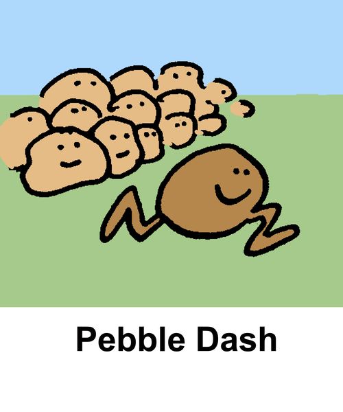 Pebble Dash