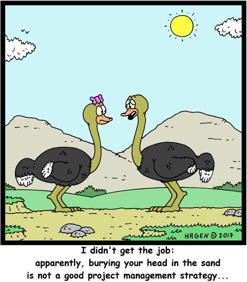 "I didn't get the job: apparently, burying your head in the sand is not a good project management strategy..."
