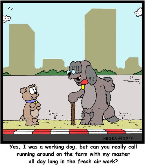 "Yes, I was a working dog, but can you really call running around on the farm with my master all day long in the fresh air work?"