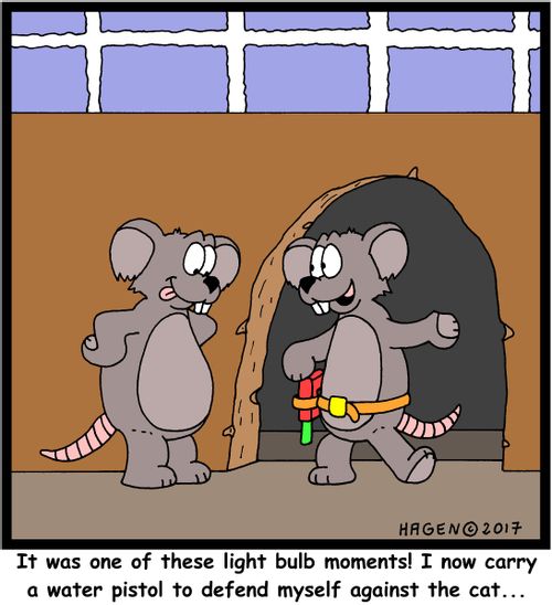 "It was one of these light bulb moments! I now carry a water pistol to defend myself against the cat..."