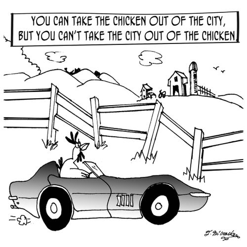 You can take the chicken out of the city, but you can't take the city out of the chicken.
