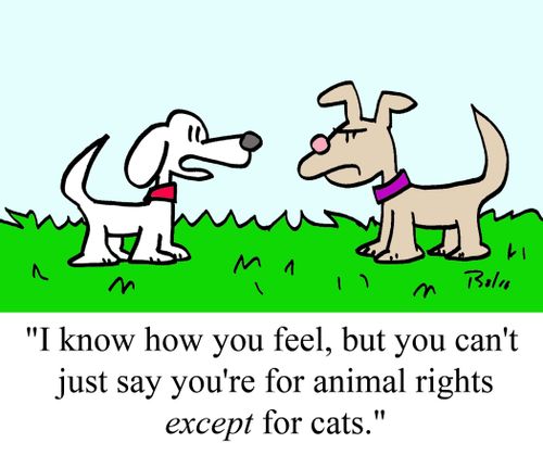 "I know how you feel, but you can't just say you're for animal rights except for cats."