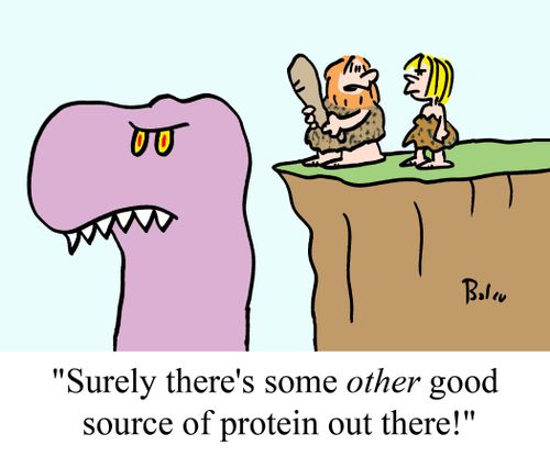 'Surely there's some other good source of protein out there!'