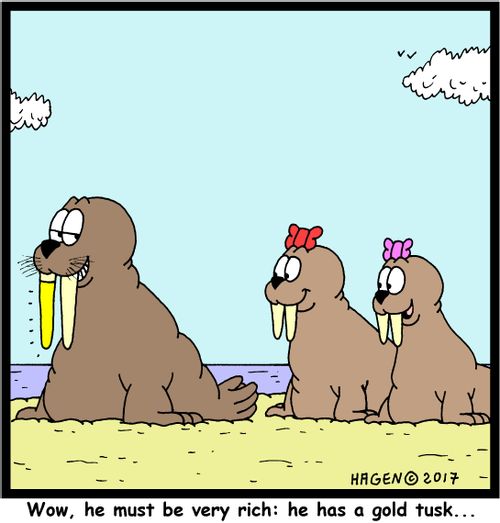 'Wow, he must be very rich: he has a gold tusk...'
