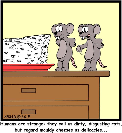 'Humans are strange: they call us dirty, disgusting rats, but regard mouldy cheeses as delicacies...'