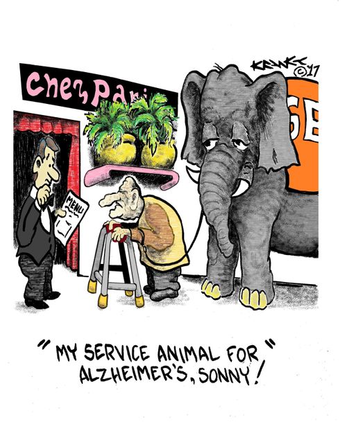 "My service animal for Alzheimer's, sonny!"