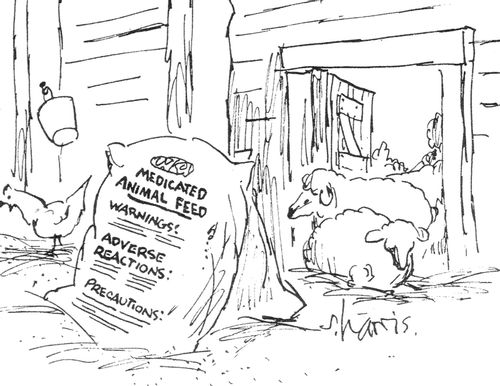 Medicated animal feed.