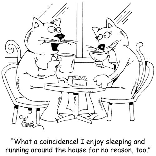 "What a coincidence! I enjoy sleeping and running around the house for no reason, too."