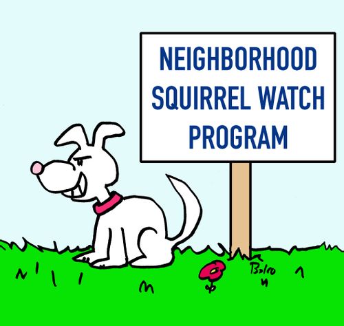 Neighborhood Squirrel Watch Program