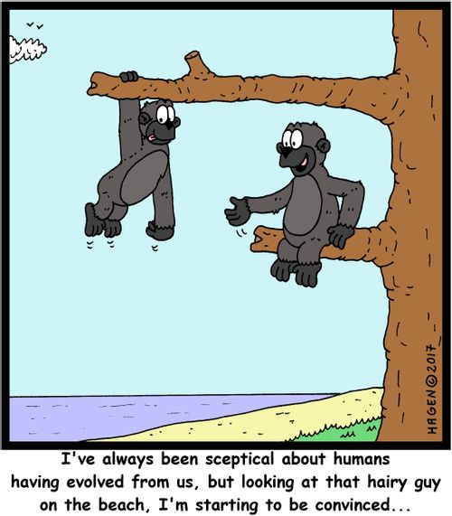 "I've always been sceptical about humans having evolved from us, but looking at that hairy guy on the beach, I'm starting to be convinced..."