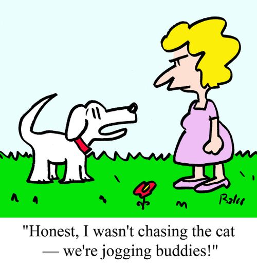'Honest, I wasn't chasing the cat - we're jogging buddies!'