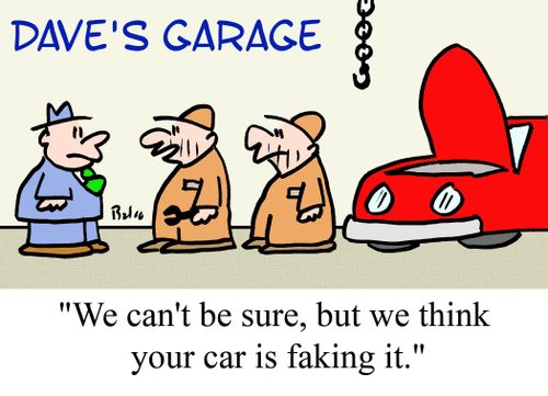 'We can't be sure, but we think your car is faking it.'